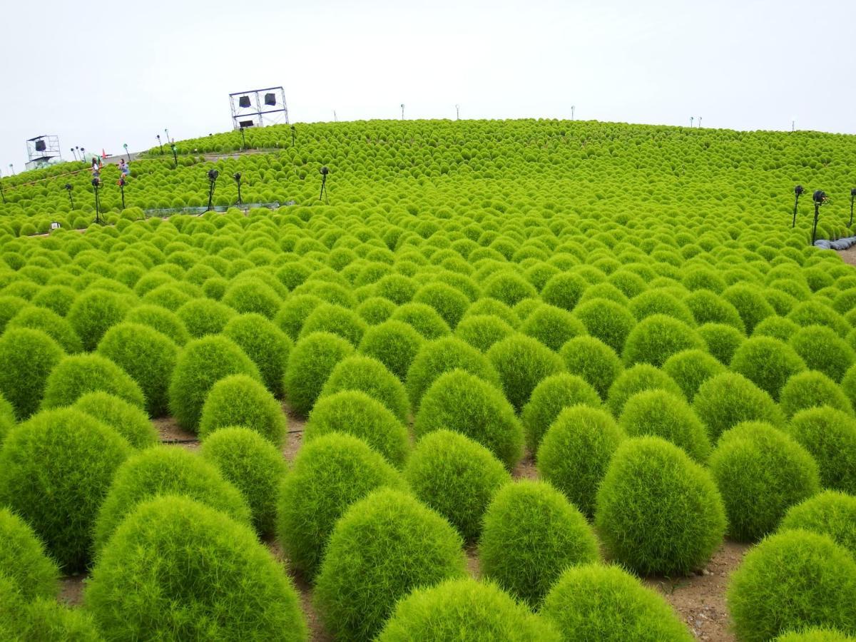 نيكو Kinugawa Club Hotel Kinsenkaku المظهر الخارجي الصورة